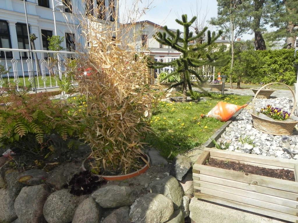 Strandnahe Ferienwohnungen Heringsdorf  Exteriér fotografie